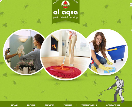 círculos en diseño web