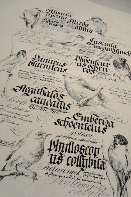 caligrafia y lettering