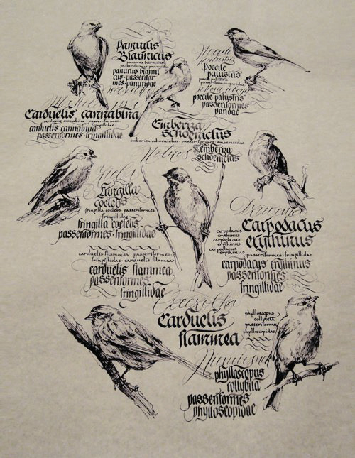 caligrafia y lettering