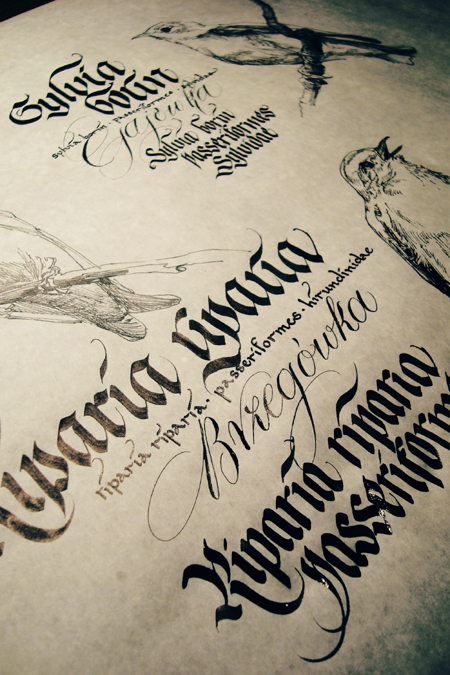 caligrafia y lettering