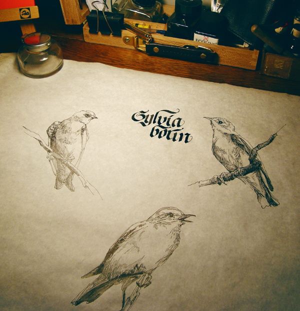 caligrafia y lettering